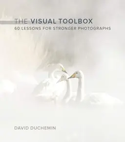 The visual toolbox : 60 lessons for stronger photographs