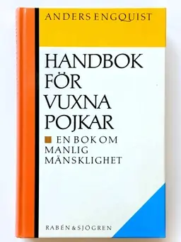 Handbok för vuxna pojkar : en bok om manlig mänsklighet
