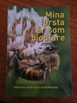 Mina första år som biodlare