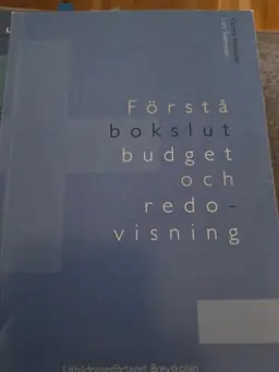 Förstå bokslut, budget och redovisning