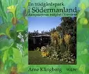 En trädgårdspark i Södermanland : antroposofernas trädgård i Ytterjärna
