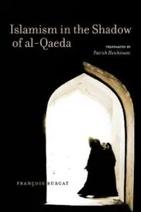 Islamism in the shadow of al-Qaeda