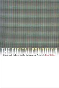 The digital condition : class and culture in the information network