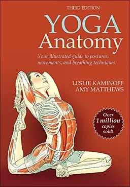 Yoga anatomy