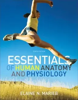 Essentials of human anatomy & physiology - Begagnad bok