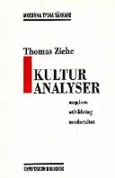 Kulturanalyser : ungdom, utbildning, modernitet : essäer