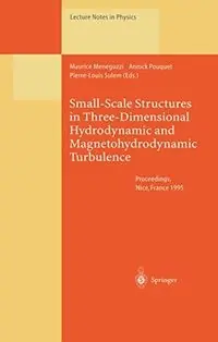Small-scale structures in three-dimensional hydrodynamic and magnetohydrodynamic turbulence : proceedings of a workshop held at Nice, France, 10 - 13 January 1995