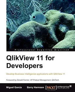 QlikView 11 for Developers [Elektronisk resurs]