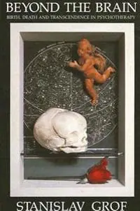 Beyond the brain : birth, death, and transcendence in psychotherapy
