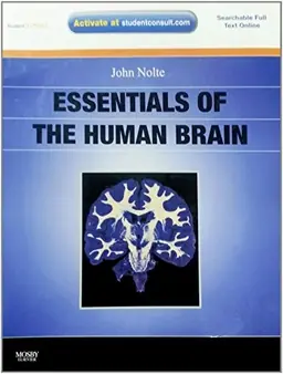 Essentials of the Human Brain