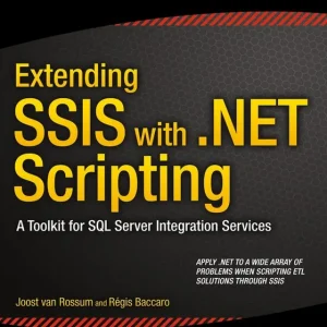 Extending SSIS with .NET Scripting
