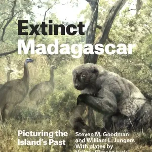 Extinct Madagascar