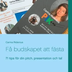 Få budskapet att fästa : 71 tips för din pitch, presentation och tal