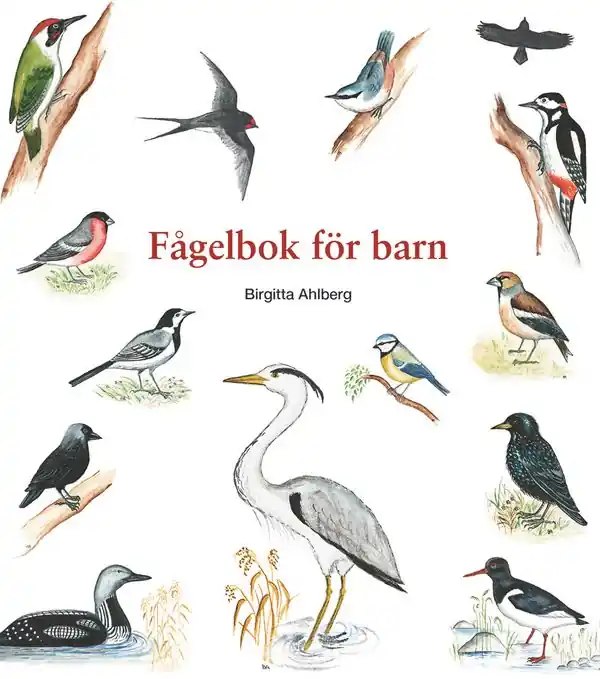 Fågelbok för barn