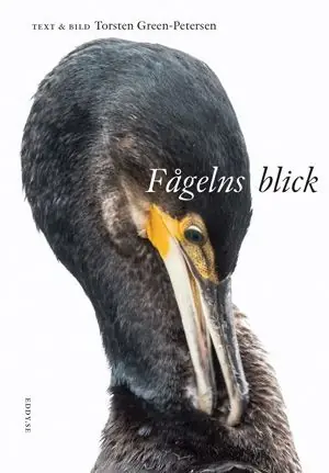 Fågelns blick
