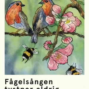 Fågelsången tystnar aldrig