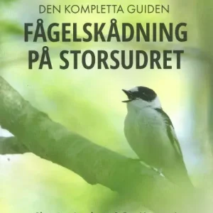 Fågelskådning på Storsudret