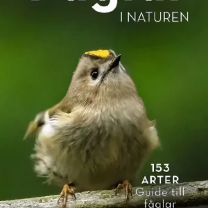 Fåglar i naturen : 153 arter, guide till fåglarna kring dig