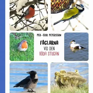 Fåglarna vid den röda stugan
