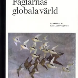 Fåglarnas globala värld