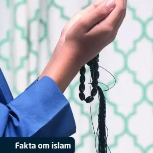 Fakta om islam