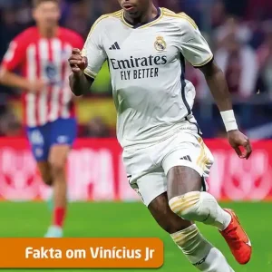 Fakta om Vinicius Junior