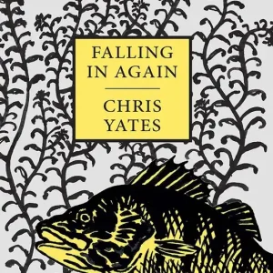 Falling in Again