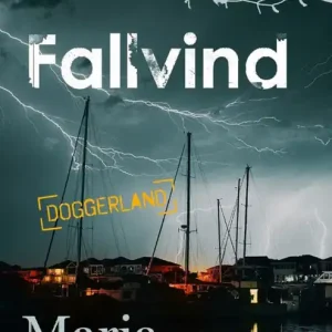 Fallvind - Begagnad bok