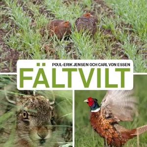 Fältvilt