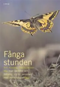 Fånga stunden: Hur man bemöter och förhåller sig till personer med demenshandikapp