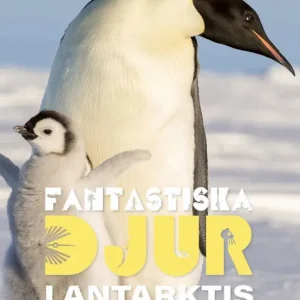 Fantastiska djur i Antarktis