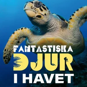 Fantastiska djur i havet