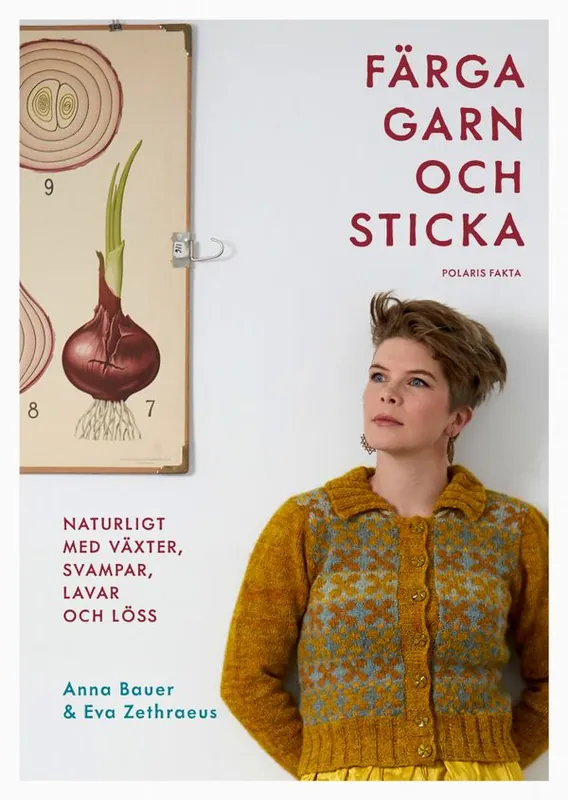 Färga garn och sticka - Naturligt med växter, svampar, lavar och löss