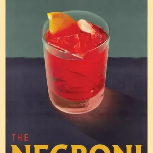 The Negroni - Begagnad bok