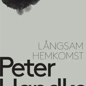 Långsam hemkomst