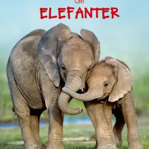 Lätta fakta om elefanter