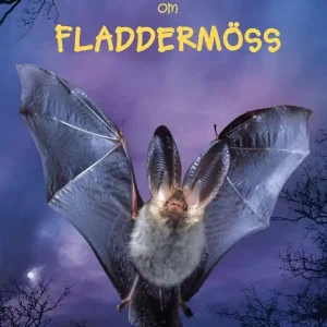 Lätta fakta om fladdermöss