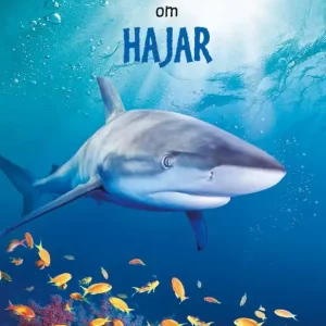 Lätta fakta om hajar