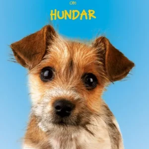 Lätta fakta om hundar