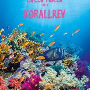 Lätta fakta om korallrev