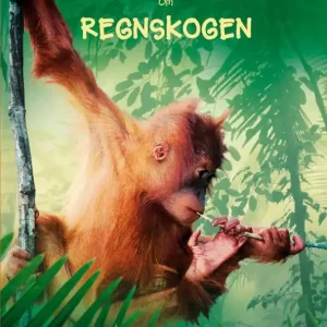 Lätta fakta om regnskogen