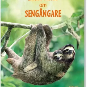 Lätta fakta om sengångare