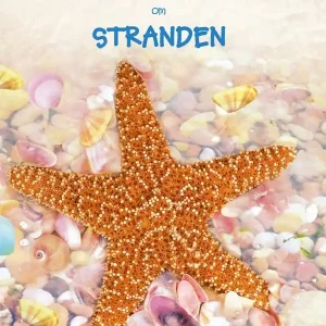 Lätta fakta om stranden
