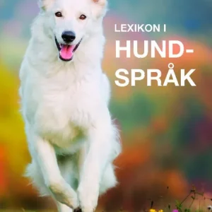 Lexikon i hundspråk : lär dig tolka din hunds signaler