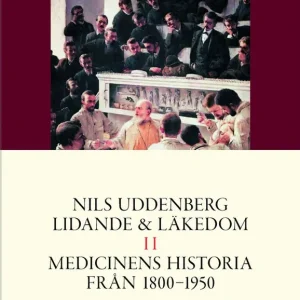 Lidande och läkedom band II