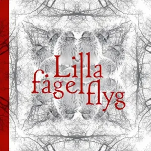 Lilla fågel flyg