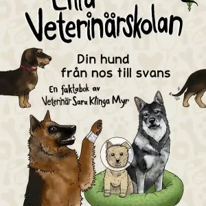 Lilla veterinärskolan - Från nos till svans