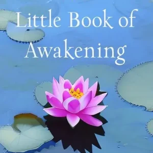Little Book Of Awakening