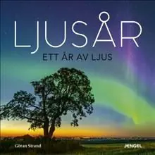 Ljusår : ett år av ljus - Begagnad bok
