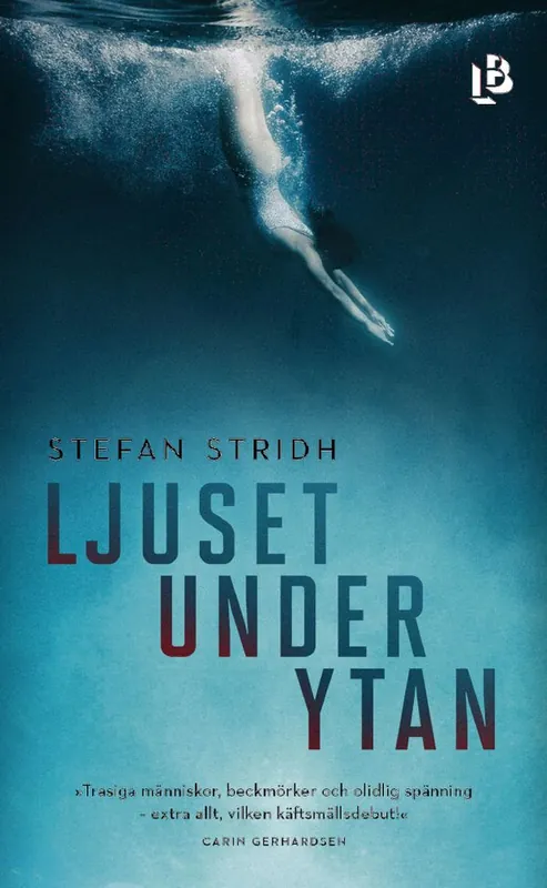 Ljuset under ytan - Begagnad bok